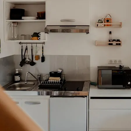 Terre - 1-4 Pers, A 20 Mins De Vulcania Et Du Puy-de-dome, 35 Mins Du Sancy *