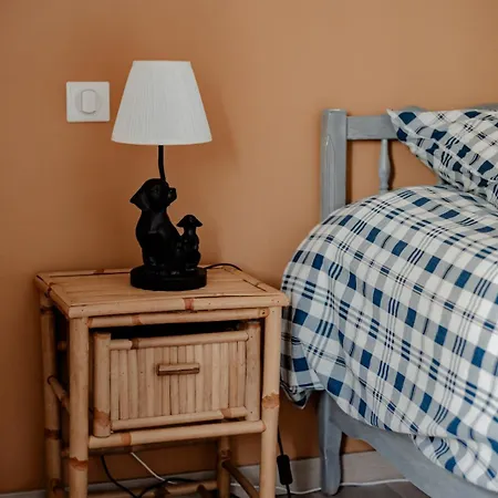 Terre - 1-4 Pers, A 20 Mins De Vulcania Et Du Puy-de-dome, 35 Mins Du Sancy * Gelles