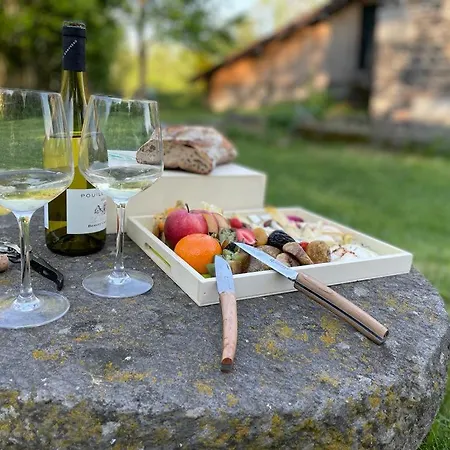 Terre - 1-4 Pers, A 20 Mins De Vulcania Et Du Puy-de-dome, 35 Mins Du Sancy Gelles