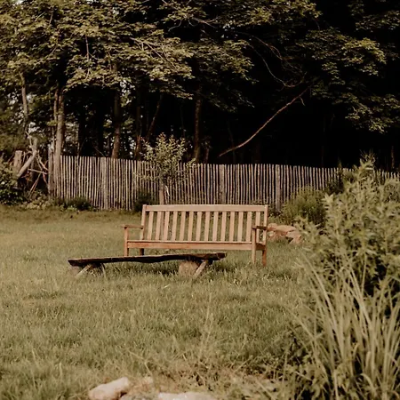 Terre - 1-4 Pers, A 20 Mins De Vulcania Et Du Puy-de-dome, 35 Mins Du Sancy * Gelles