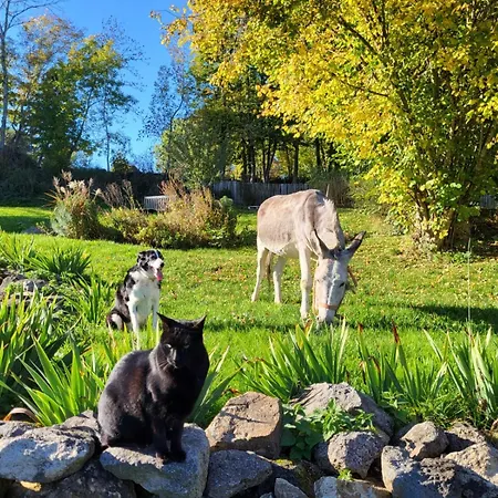 Terre - 1-4 Pers, A 20 Mins De Vulcania Et Du Puy-de-dome, 35 Mins Du Sancy Gelles
