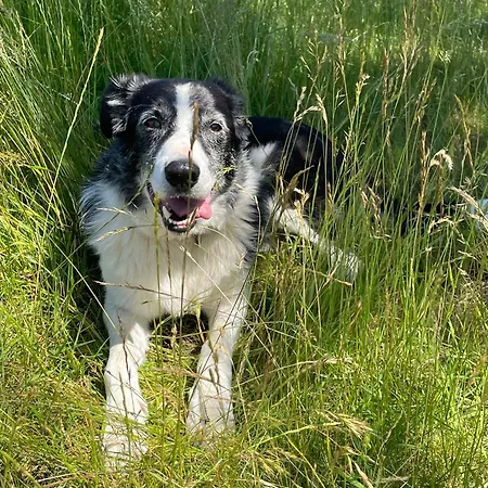 Terre - 1-4 Pers, A 20 Mins De Vulcania Et Du Puy-de-dome, 35 Mins Du Sancy Gelles