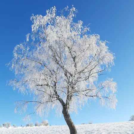 Terre - 1-4 Pers, A 20 Mins De Vulcania Et Du Puy-de-dome, 35 Mins Du Sancy